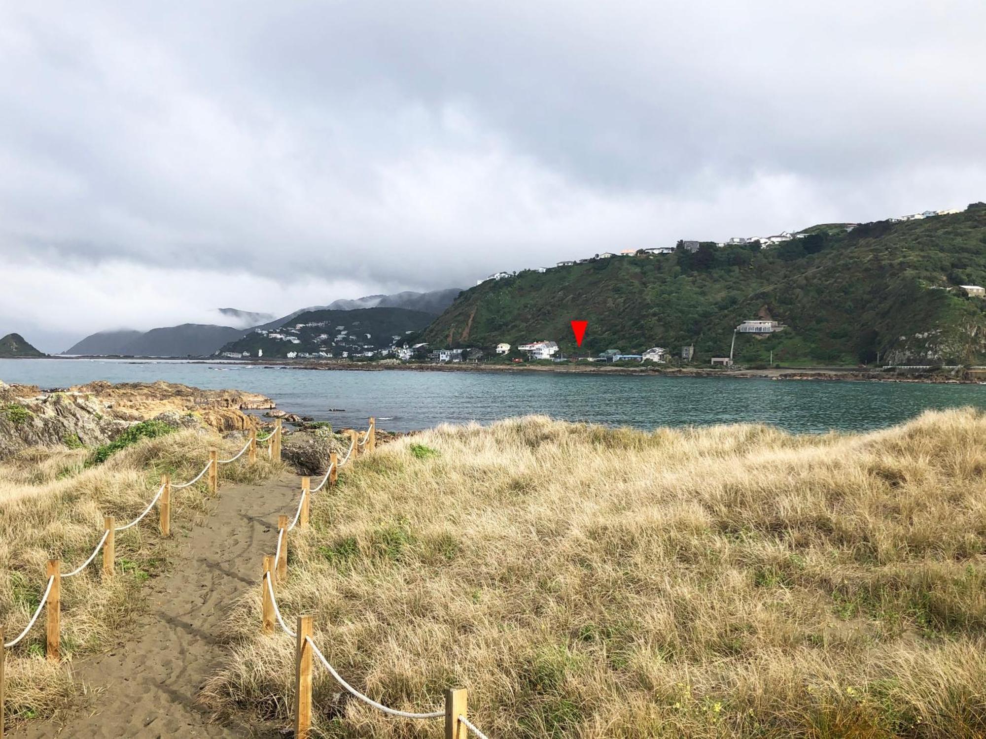 ウェリントン Stunning Views Ocean-Frontヴィラ エクステリア 写真